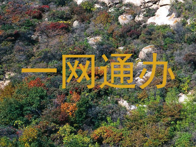 一网通办