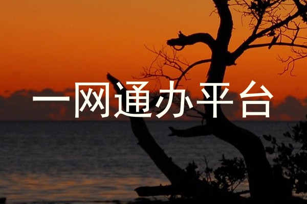 一网通办平台
