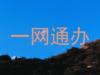一网通办