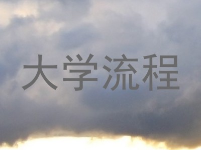 大学流程