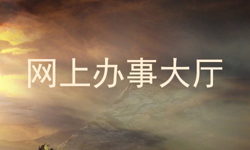 网上办事大厅
