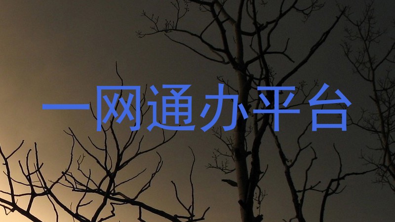 一网通办平台