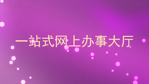 一站式网上办事大厅