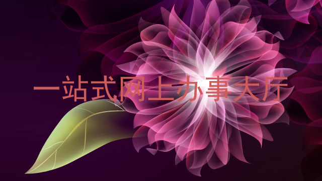 一站式网上办事大厅