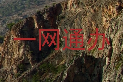 一网通办