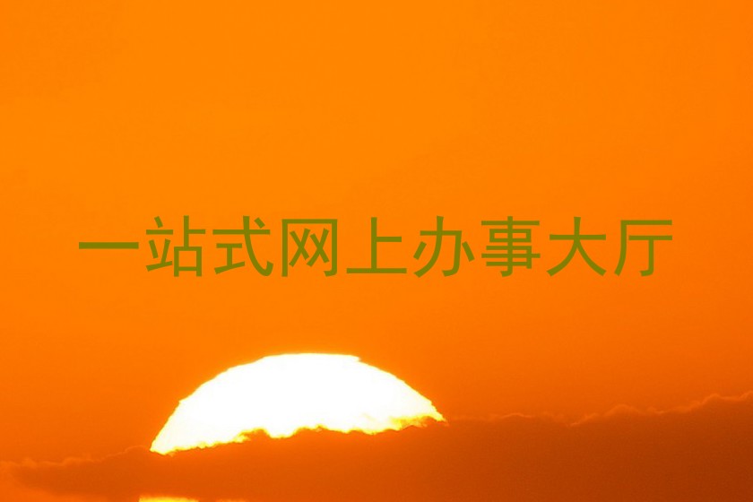 一站式网上办事大厅