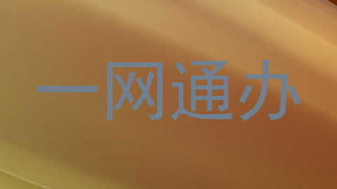 一网通办