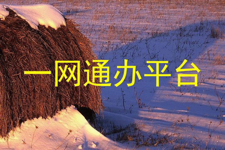一网通办平台