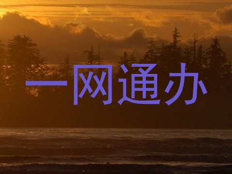 一网通办