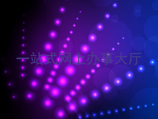 一站式网上办事大厅