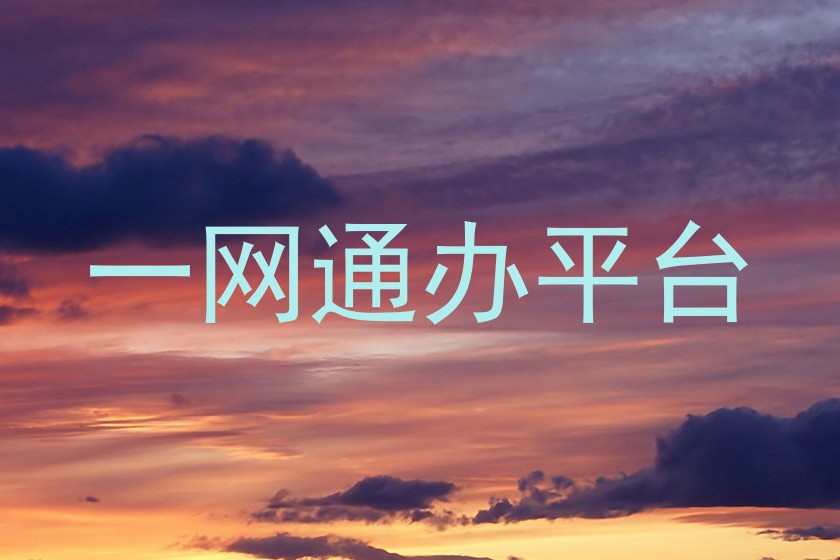 一网通办平台