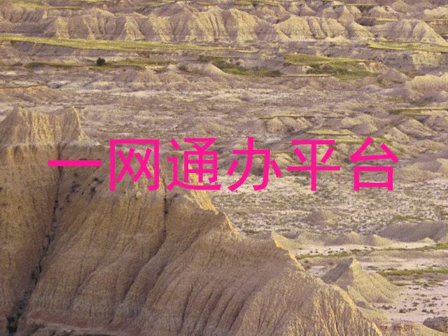 一网通办平台