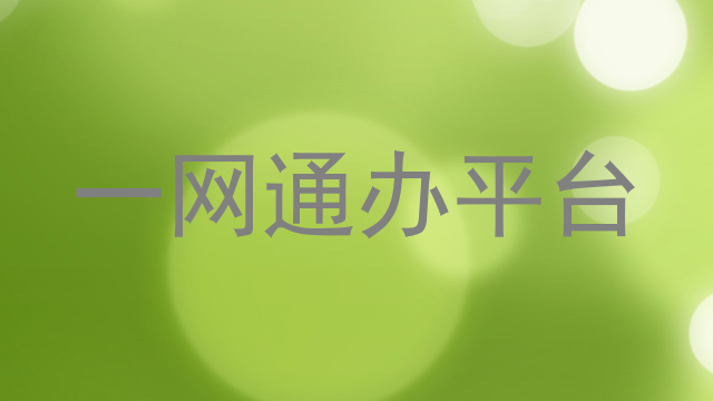 一网通办平台