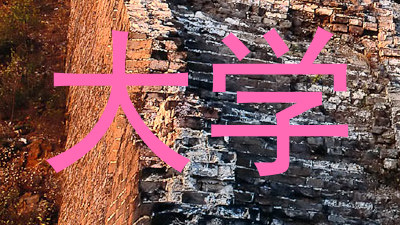 大学