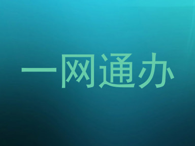 一网通办