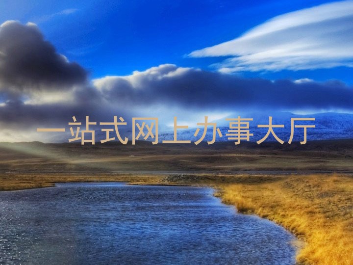 一站式网上办事大厅