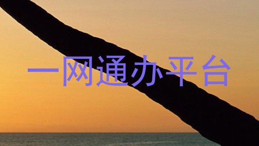 一网通办平台