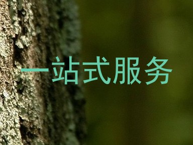 一站式服务