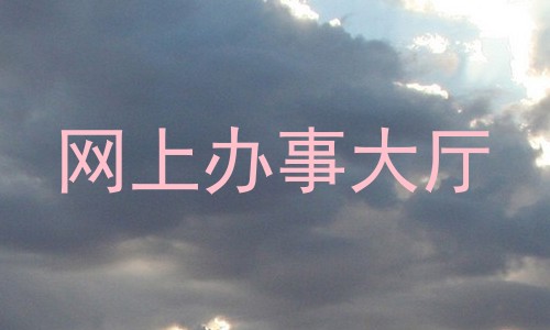 网上办事大厅