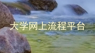 大学网上流程平台