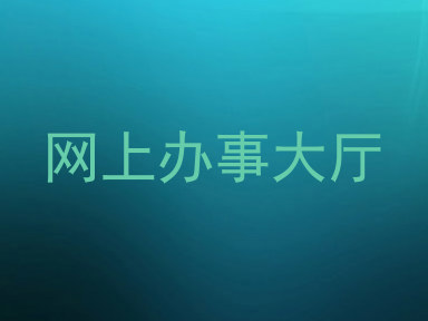 网上办事大厅