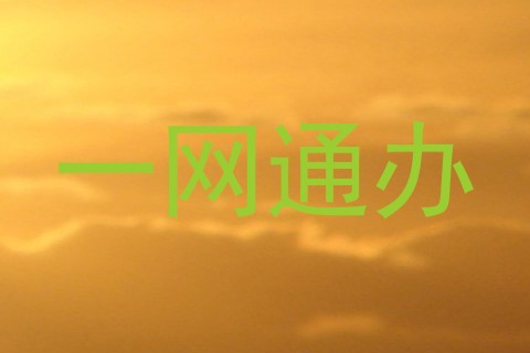 一网通办