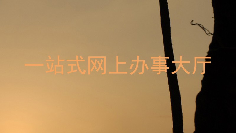 一站式网上办事大厅