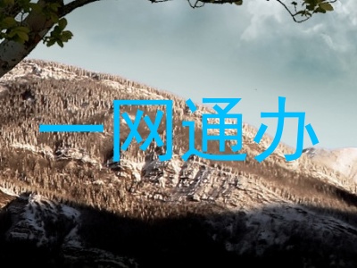 一网通办