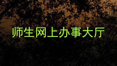 师生网上办事大厅
