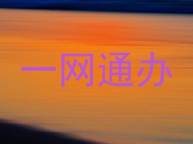 一网通办