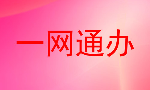 一网通办