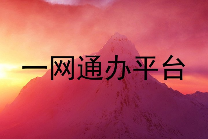 一网通办平台