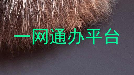 一网通办平台