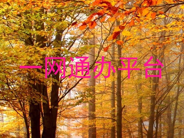 一网通办平台