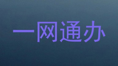 一网通办
