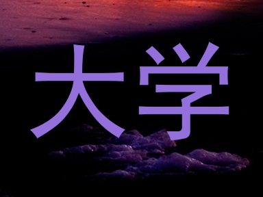 大学