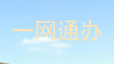 一网通办