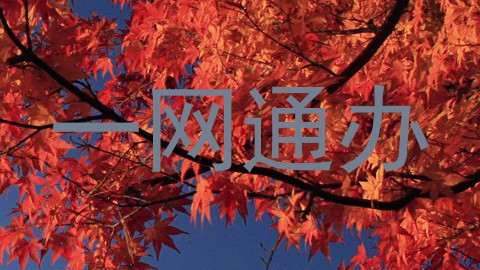一网通办