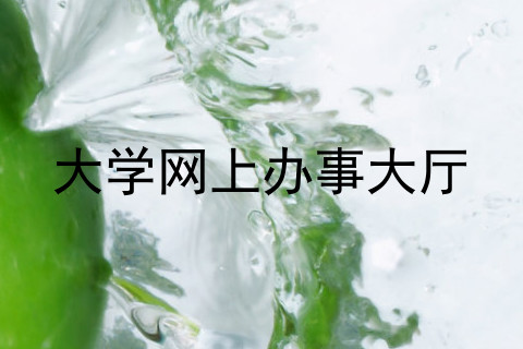 大学网上办事大厅