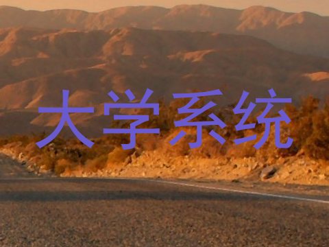 大学系统