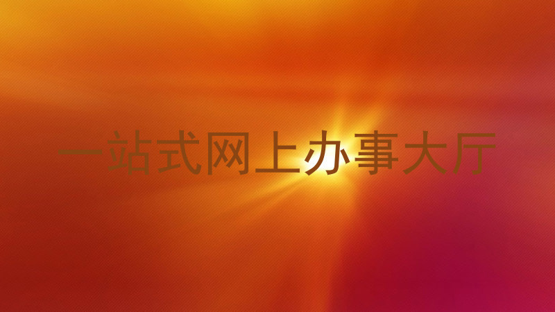一站式网上办事大厅