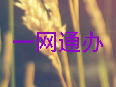一网通办
