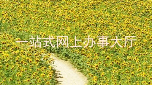 一站式网上办事大厅