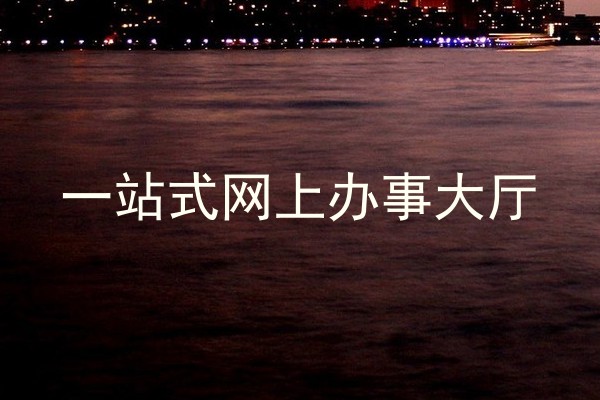 一站式网上办事大厅