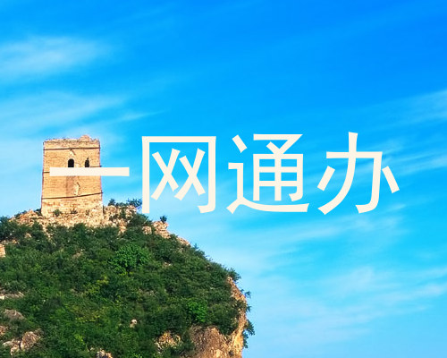 一网通办