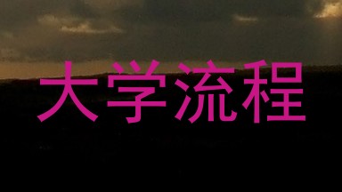 大学流程