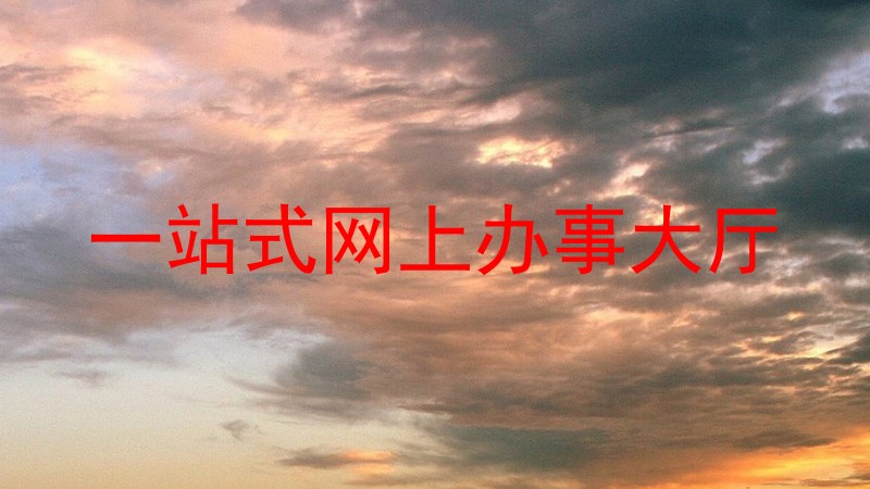 一站式网上办事大厅