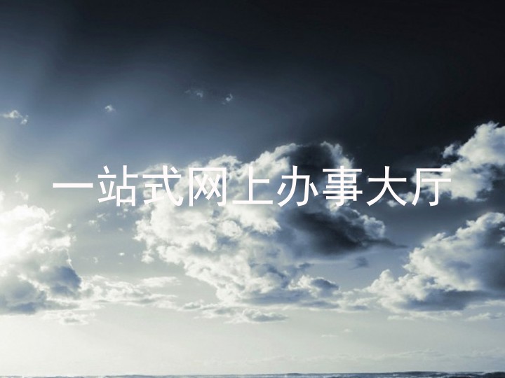 一站式网上办事大厅