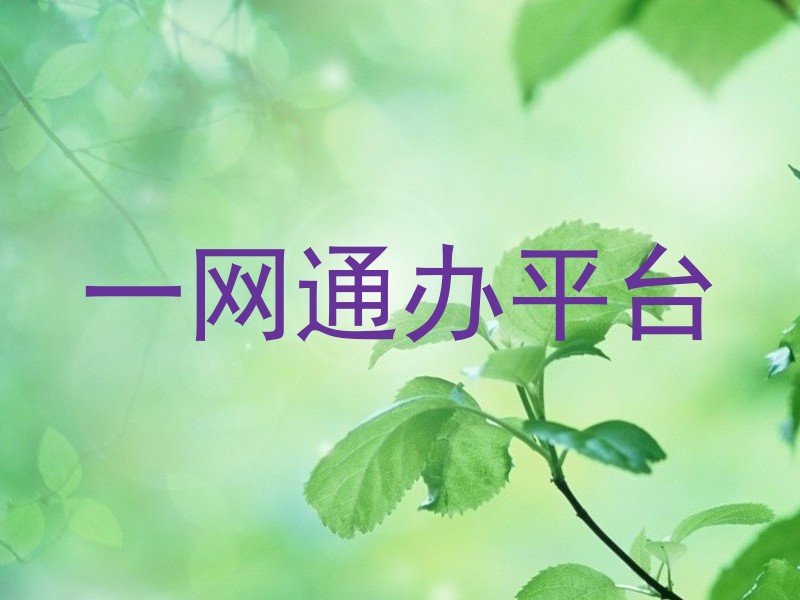 一网通办平台