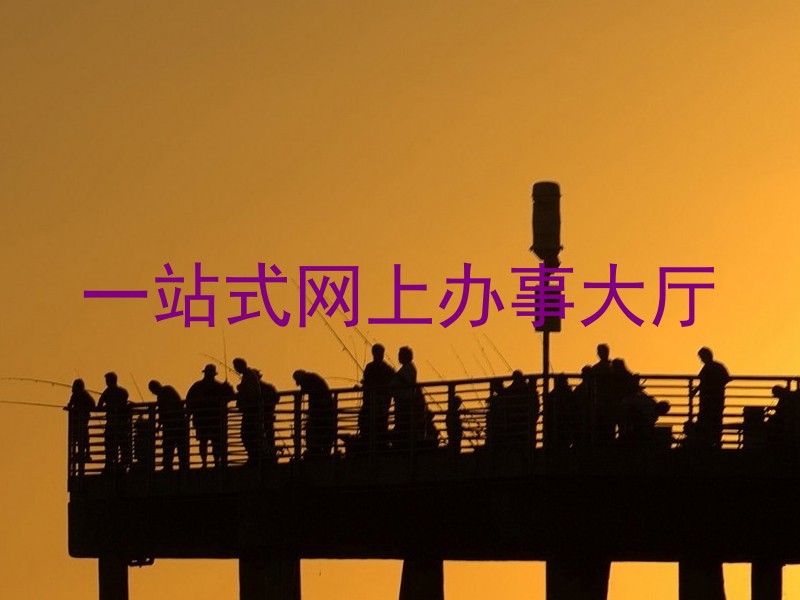 一站式网上办事大厅